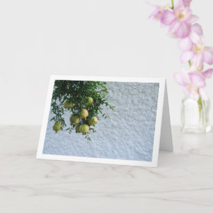 Pomegranates in Tree, White Wall Portrait Card