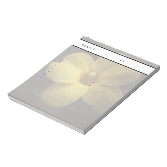Pomelnic Notepad (Rotated)