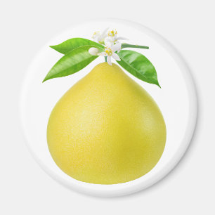Pomelo on a branch magnet