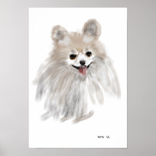 Pomerainian Poster