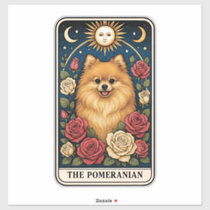 Pomeranian