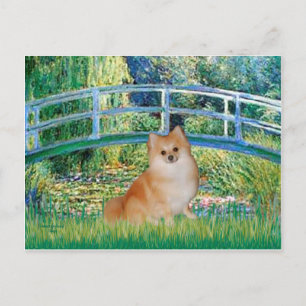 Pomeranian 3 - Bridge Postcard
