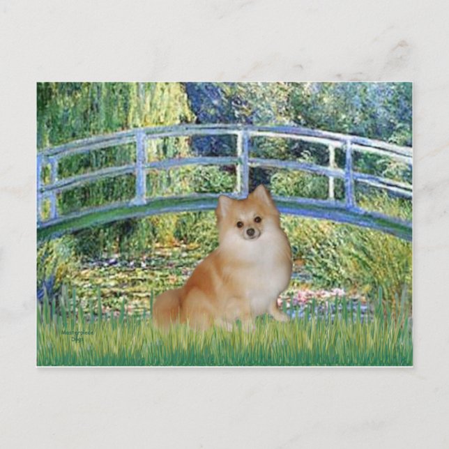 Pomeranian 3 - Bridge Postcard (Front)