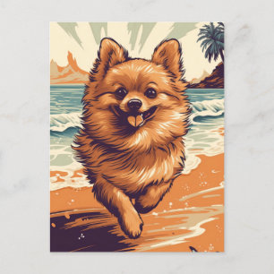 Pomeranian at the beach postcard