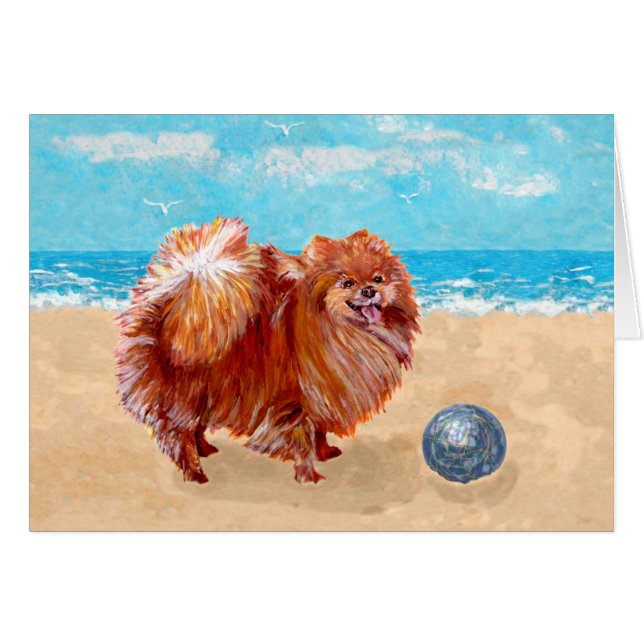 Pomeranian at the Seashore (Front Horizontal)