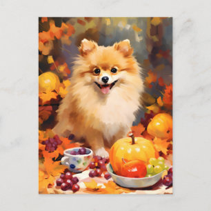 Pomeranian Autumn Thanksgiving  Postcard