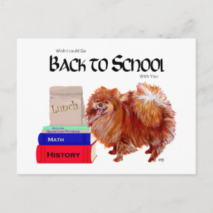 Pomeranian Back to School Postcard