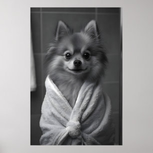 Pomeranian Bathrobe Print, Funny Dog Bathroom Poster