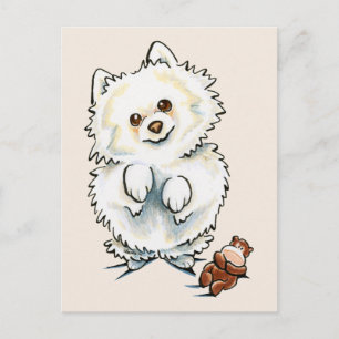 Pomeranian Boo Boo Postcard