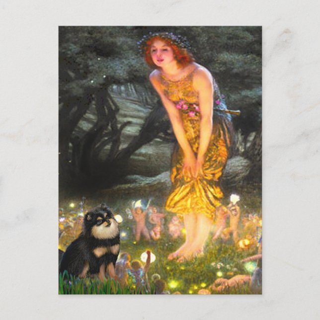 Pomeranian (BT) - MidEve Postcard (Front)