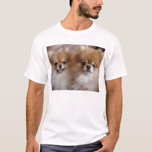 Pomeranian Buddies T-Shirt