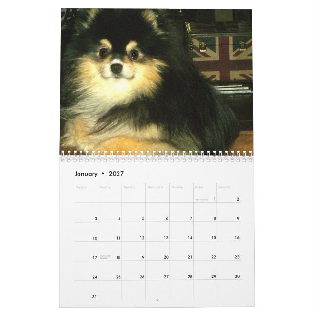 Pomeranian Calendar (Jan 2027)