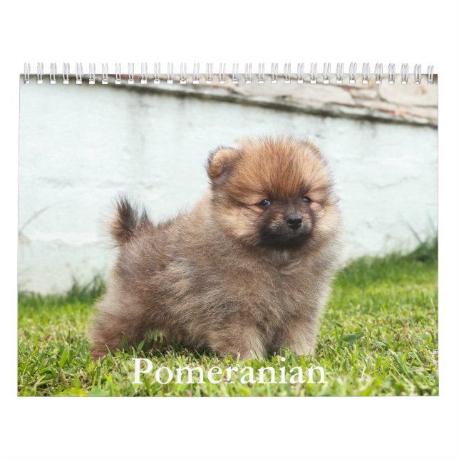 Pomeranian Calendar (Cover)