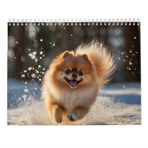 Pomeranian Calendar 2025