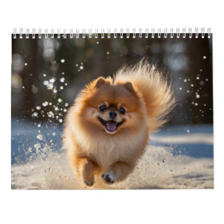 Pomeranian Calendar 2025