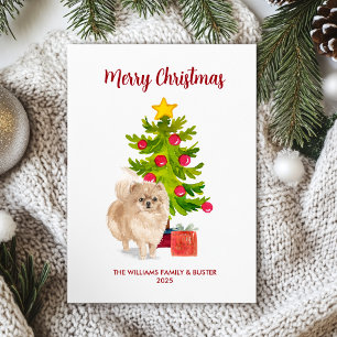 Pomeranian Christmas Card