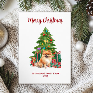 Pomeranian Christmas Card