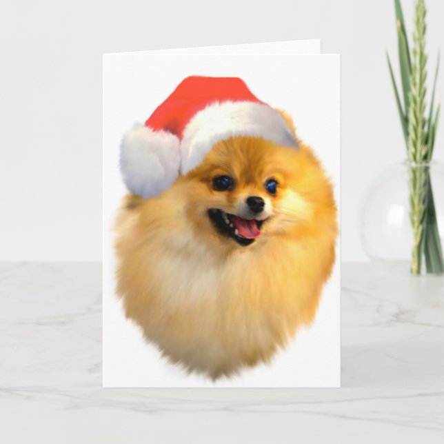 Pomeranian Christmas Card (Front)