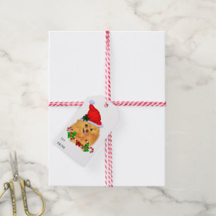 Pomeranian Christmas Gifts Gift Tags