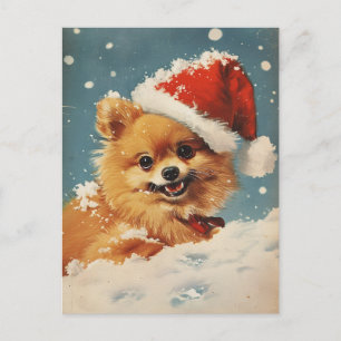 Pomeranian Christmas Postcard