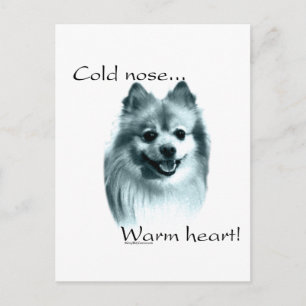 Pomeranian Cold Nose Warm Heart Postcard