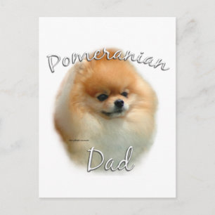 Pomeranian Dad 2 Postcard