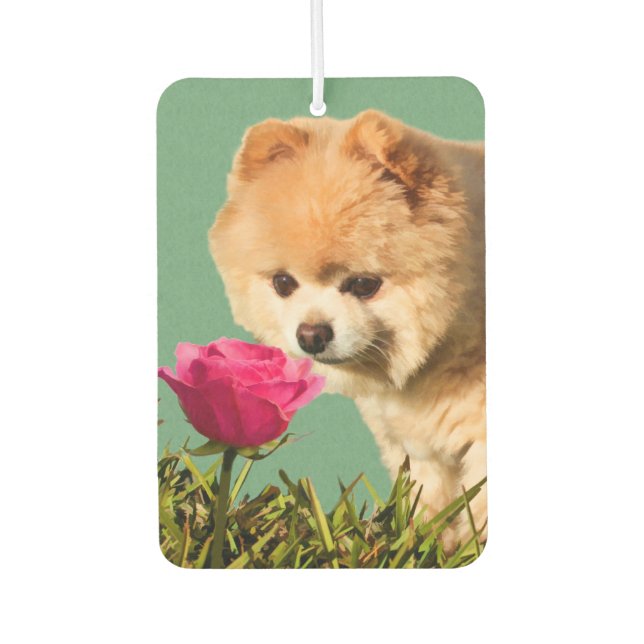 Pomeranian Dog and Rose Car Air Freshener (Front)