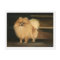 "Pomeranian" Dog Art Reproduction Postcards
