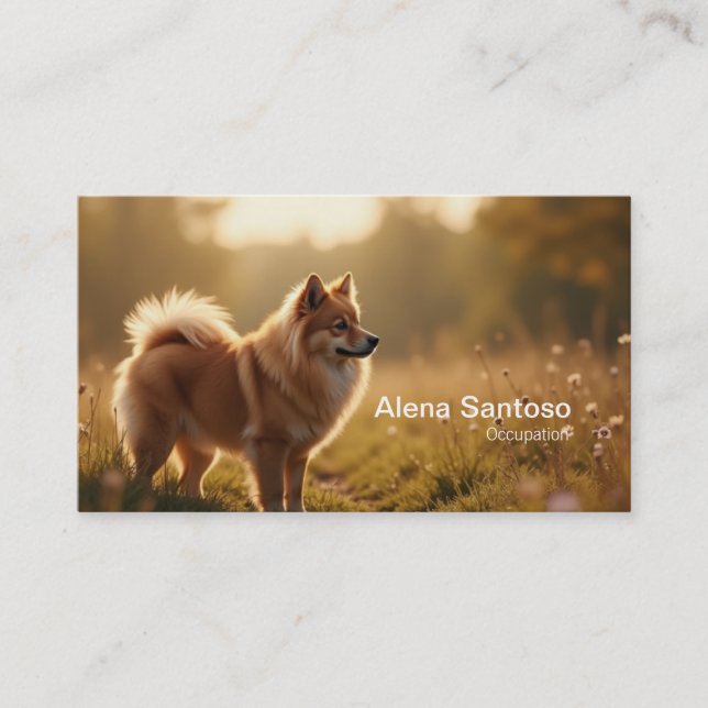 Pomeranian Dog Business Card (Front)