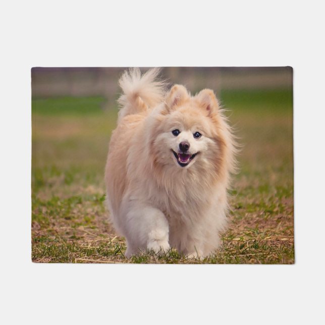 Pomeranian Dog. Doormat (Front)