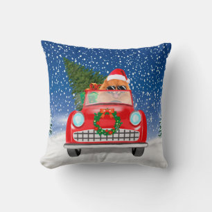 Pomeranian Dog Driving Car In Snow Christmas Cushion
