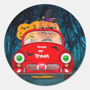 Pomeranian Dog Driving Car Scary Halloween Classic Round Sticker