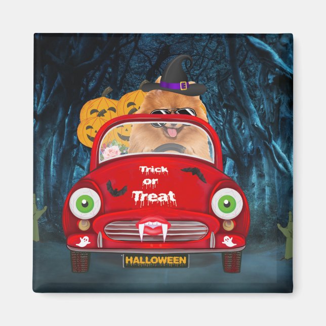 Pomeranian Dog Driving Car Scary Halloween Magnet (Front)