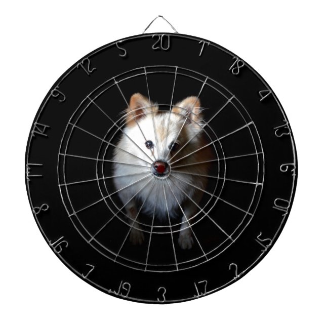 Pomeranian Dog in Dark Dartboard (Front)