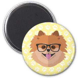 Pomeranian Dog In Nerd Glasses   Cute Hipster Gift Magnet