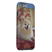 Pomeranian dog in pet friendly hotel room Case-Mate iPhone case (Back/Right)
