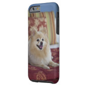 Pomeranian dog in pet friendly hotel room Case-Mate iPhone case (Back Left)