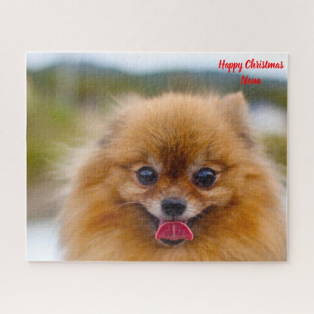 Pomeranian Dog. Jigsaw Puzzle (Horizontal)