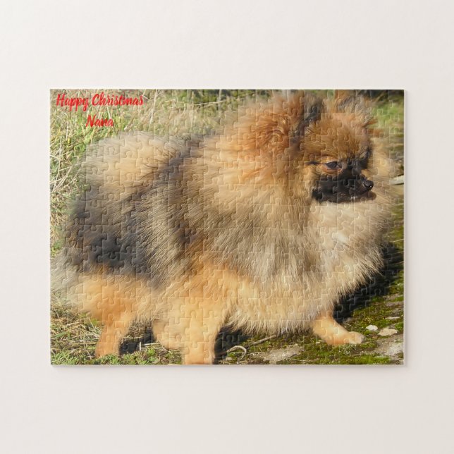 Pomeranian Dog. Jigsaw Puzzle (Horizontal)