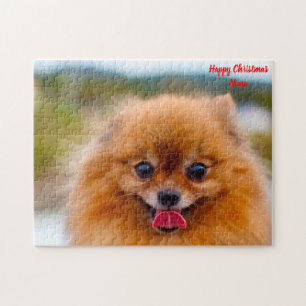 Pomeranian Dog. Jigsaw Puzzle