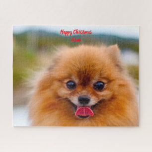 Pomeranian Dog. Jigsaw Puzzle