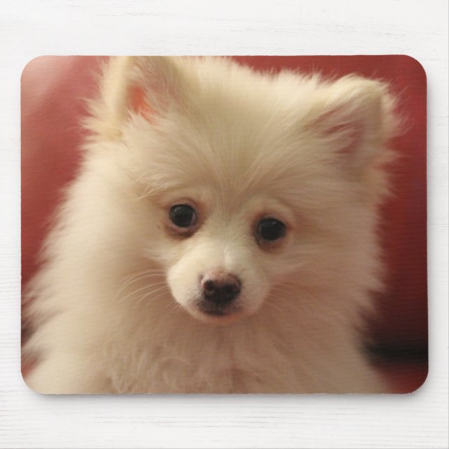 Pomeranian Dog Mouse Pad (Front)