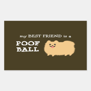 Pomeranian Dog   My Best Friend is a Poof Ball Rectangular Sticker