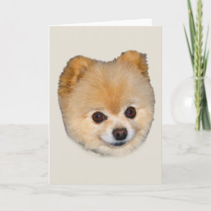 Pomeranian Dog Note or Greeting Card
