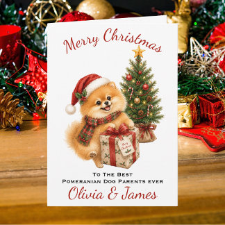 Pomeranian Dog Parents Christmas Card