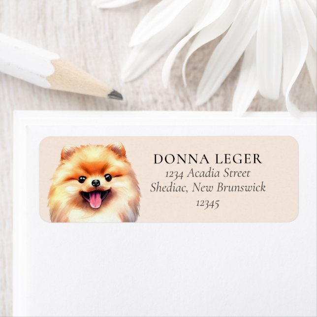 Pomeranian Dog Personalised Address (Insitu)
