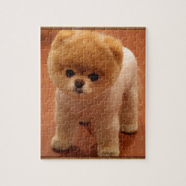 Pomeranian Dog Pet Puppy Small Adorable baby Jigsaw Puzzle (Vertical)