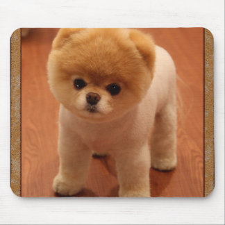 Pomeranian Dog Pet Puppy Small Adorable baby Mouse Pad