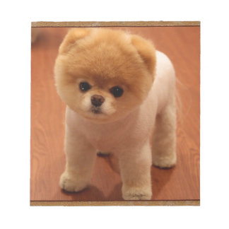 Pomeranian Dog Pet Puppy Small Adorable baby Notepad