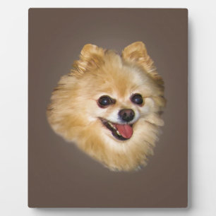 Pomeranian Dog Plaque